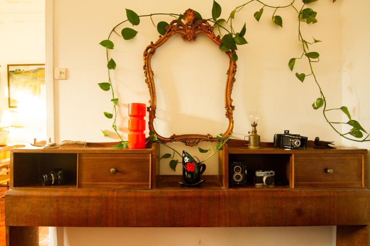Jolie Chambre Dans Appartement Cosy En Plein Centre Marseille Luaran gambar