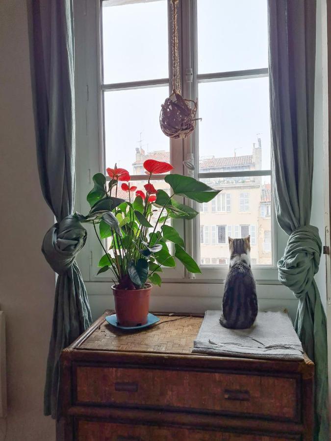 Jolie Chambre Dans Appartement Cosy En Plein Centre Marseille Luaran gambar